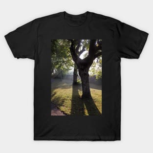 Foggy Rothenburg Morning T-Shirt